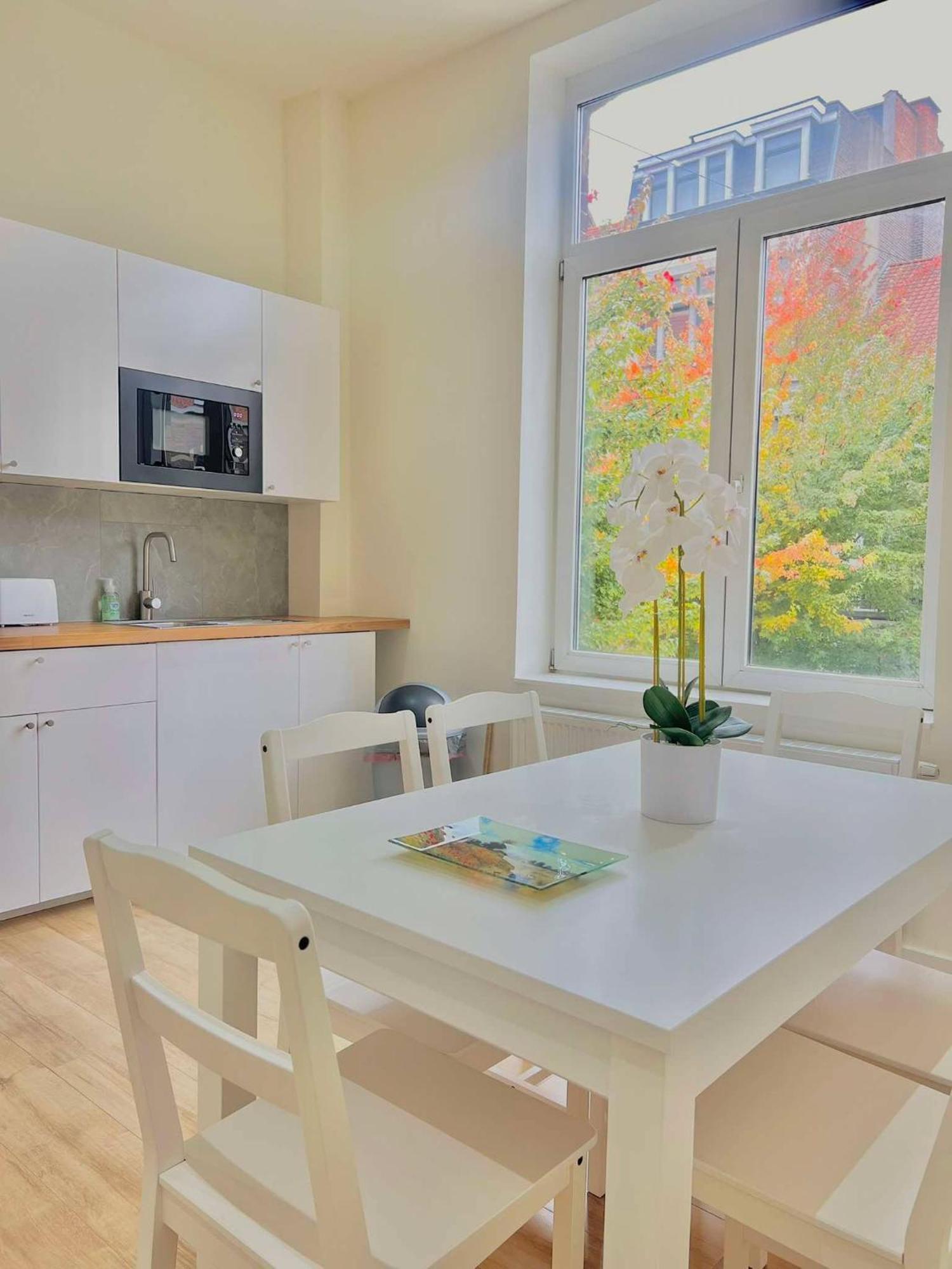 Appartement Renove & Scintillant A Bruxelles